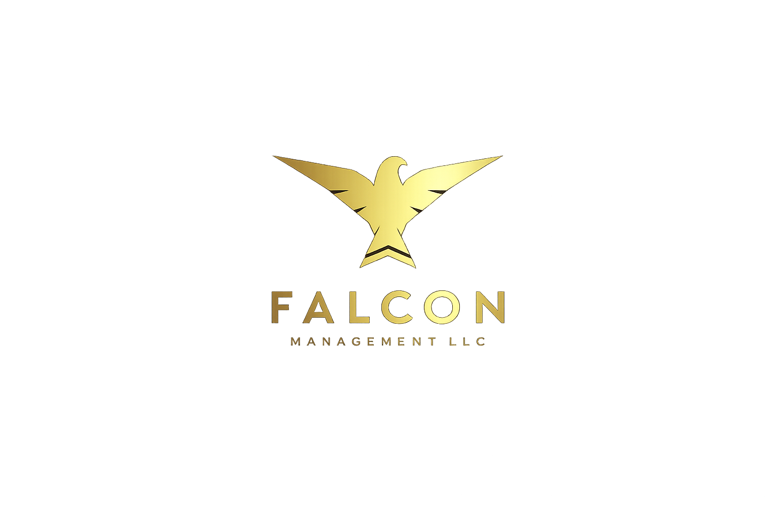 Falcon Management LLC
